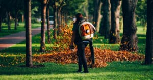 tree stump removal Southern Maryland