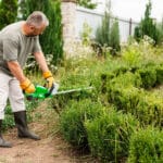 Trimming Bushes southern maryland