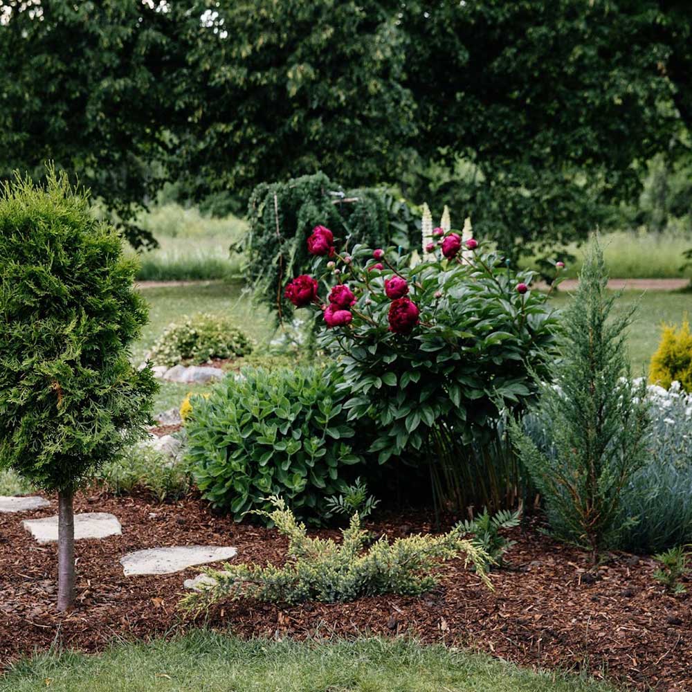Remarkable Mulch Landscaping in Southern MD - Top Cuts Plus