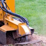 Stump Grinding Southern Maryland