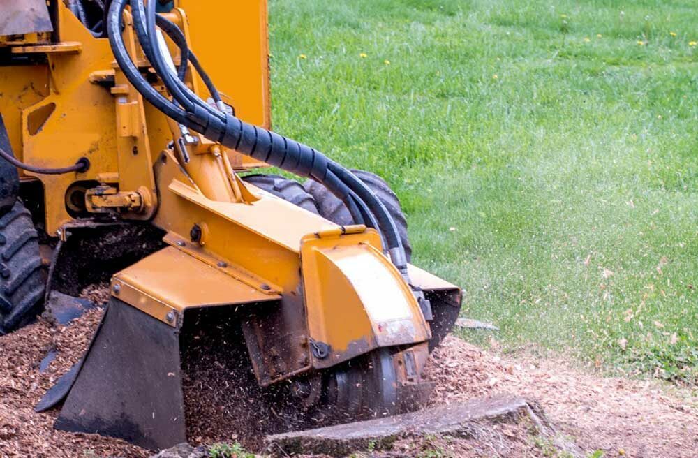 Stump Grinding Southern Maryland