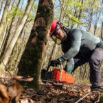 Instant Tree Removal Service in Southern MD - Top Cuts Plus