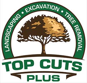 Tree Service in Southern Maryland